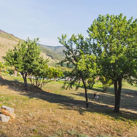 Nelema Village Hotel San Nicola Arcella